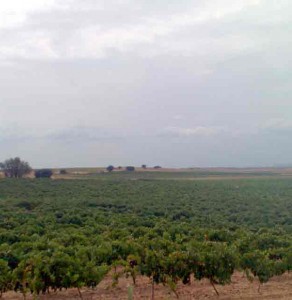 La Cuesta de las Fuentes